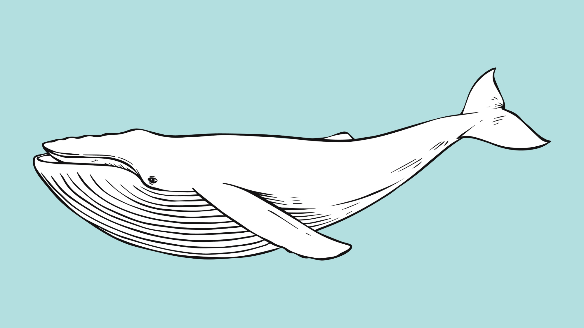 Whaling, o grande golpe
